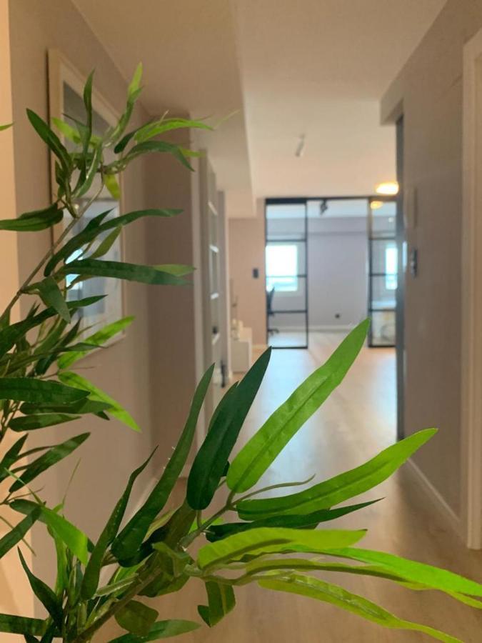 Espectacular Loft Lleno De Luz Y Espacio! Сарагоса Экстерьер фото